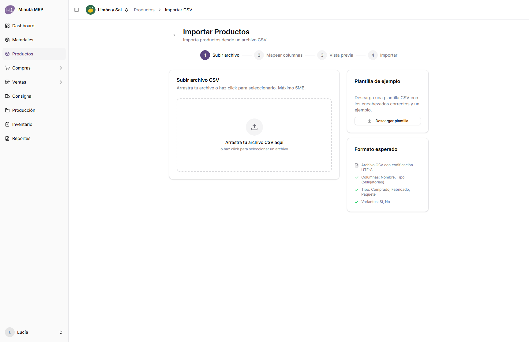 Asistente para importar productos desde un archivo CSV